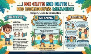 No Cuts No Buts No Coconuts Meaning: Origin, Uses & Examples