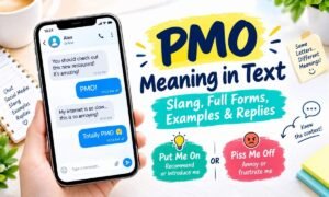 PMO Meaning in Text
