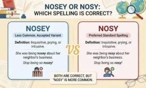 Nosey or Nosy Which Spelling Is Correct